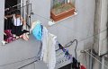 9915 a_DSC_0217